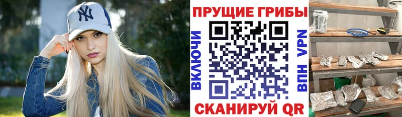Галлюциногенные грибы MAGIC MUSHROOMS  Чудово 