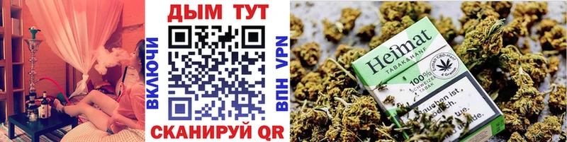 Конопля SATIVA & INDICA  Чудово 